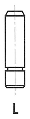 New valve guides - valve, kia